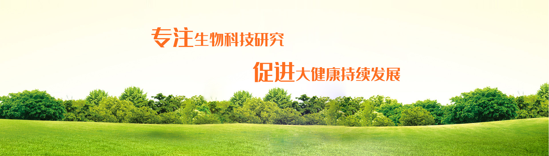 首页轮播大图3